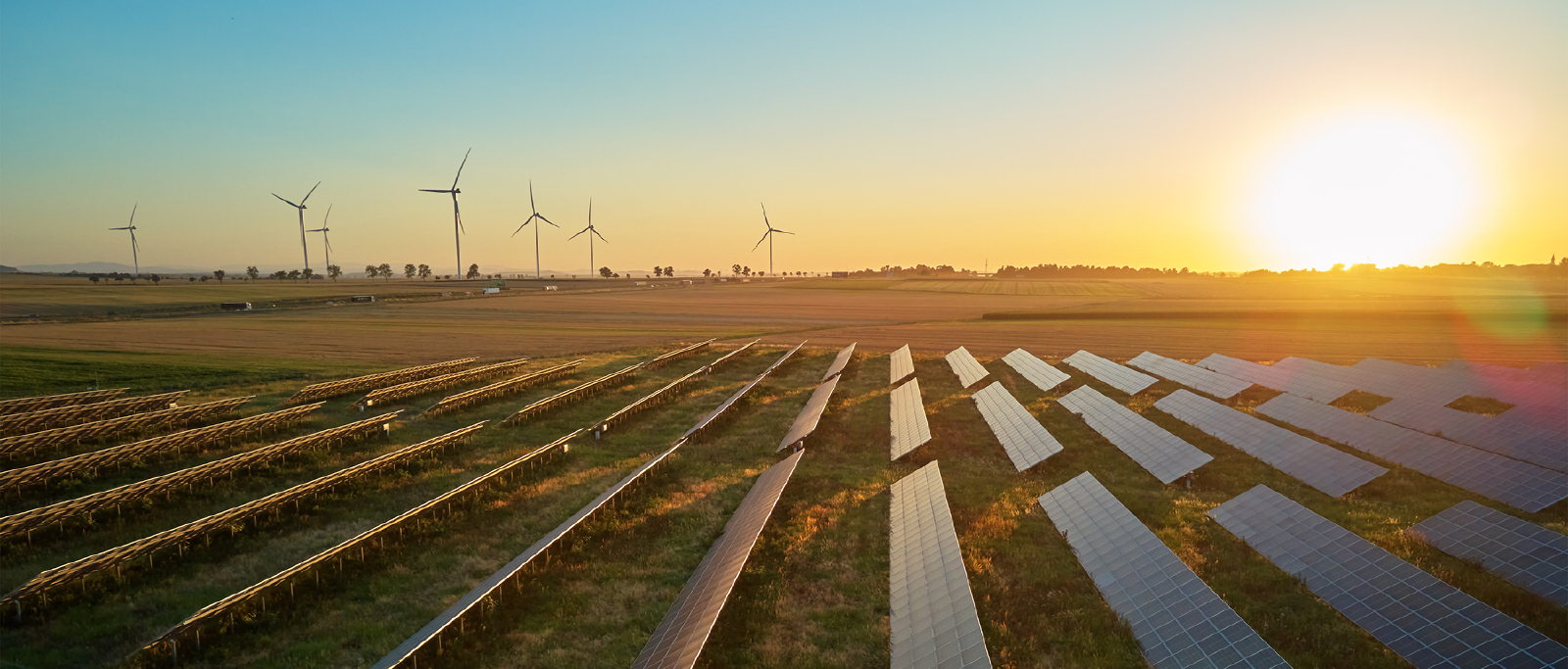 Alternative Energy hero image